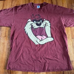 Vintage Taz Sixflags shirt